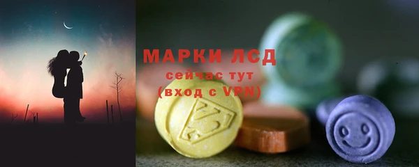 дживик Няндома