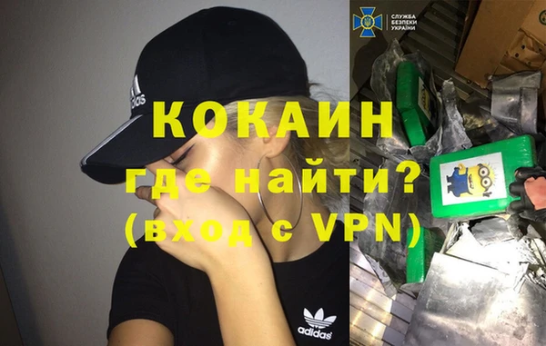дживик Няндома