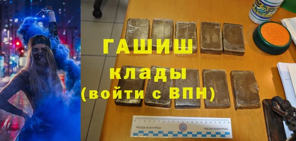 дживик Няндома