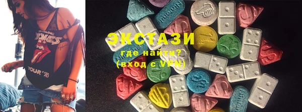 дживик Няндома